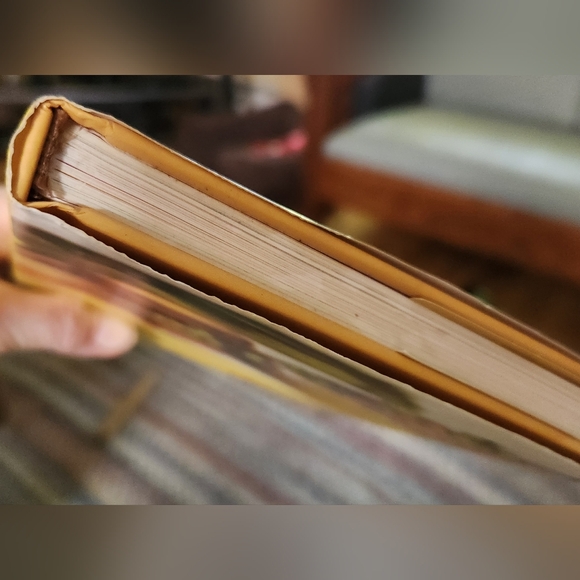 DIPS Cookbook by Diane Morgan Dips Dunk Crunch Munch 122 pgs Kitchen Essential - Picture 14 of 14